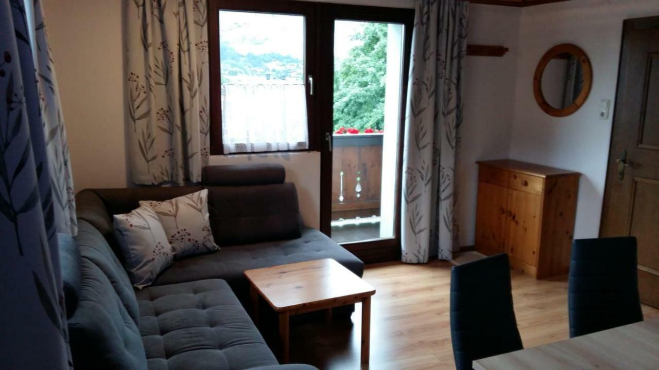Haus Elisabeth Διαμέρισμα Mittersill Εξωτερικό φωτογραφία